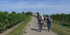 Wanderung Kaltenhausen-Vogelsburg-Dschungelpfad am 22.8.2024