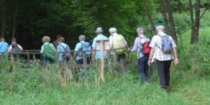 Wanderung von Gräfendorf zum Trettsteiner Wasserfall am 25.8.2024