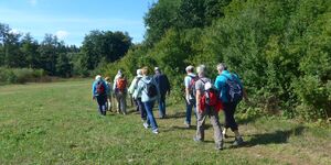 Wanderung von Ochenbruch durch die Schwarzachklamm nach Feucht vom 23.8.2026