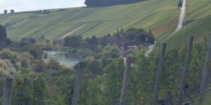 Rundwanderung um Escherndorf am 2.10.2025