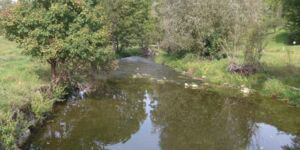 Wanderung von Bettwar durch die Schonachschlucht am 22.9.2024