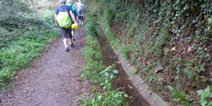 Levadawanderung von Camacha nach Monte am 20.11.2025