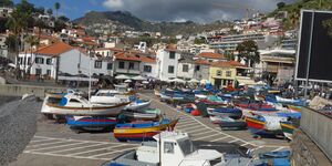 Küstenwanderung nach Camara de Lobos am 19.11.2025