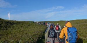 Wanderreise auf Sylt 3.Tag Wanderung von Westerland nach Rantum